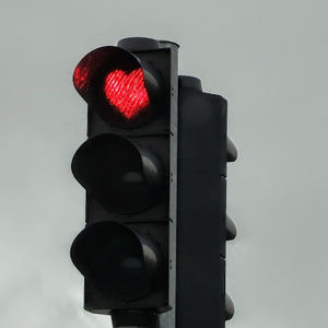 Meet your Posher, Anaya